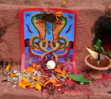 आज नागपञ्चमी पर्व मनाइँदै, किन गरिन्छ नागकाे पूजा ?